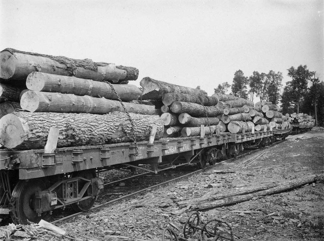 MC Loading Hardwood at Johannesberg